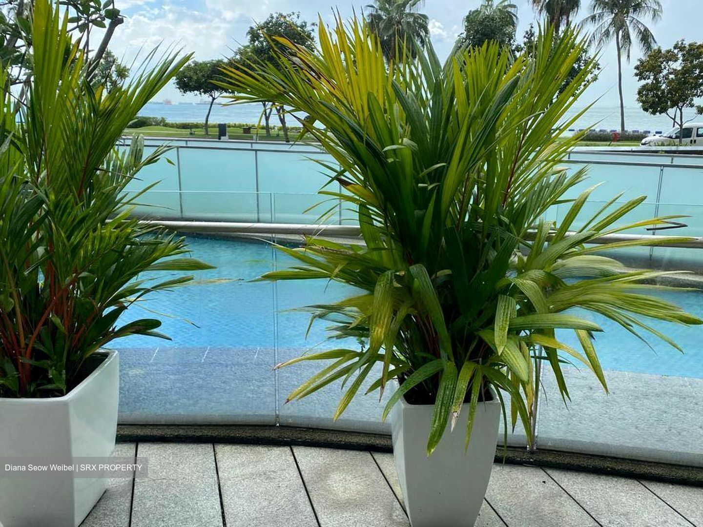 The Coast at Sentosa Cove (D4), Condominium #460655951